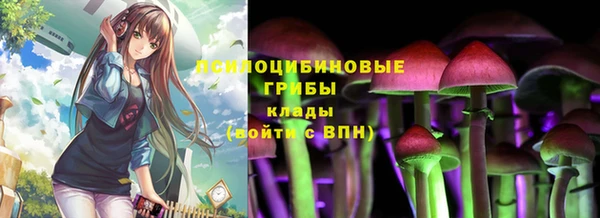 ПСИЛОЦИБИНОВЫЕ ГРИБЫ Беломорск