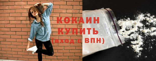 дмт Переславль-Залесский