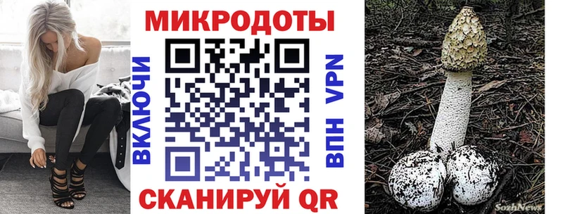 Галлюциногенные грибы Cubensis Балей